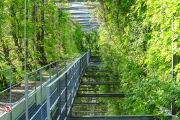 stahlgeruest22_a2535