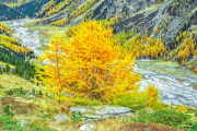 indiansummer24_a2157
