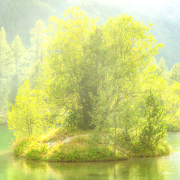 insel22_a3490