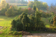 Herbst17_1136