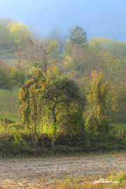 Herbst17_1137