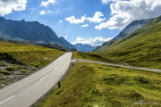 Albula16_5367