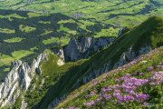 Alpstein16_5010