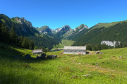 Alpstein17_9002