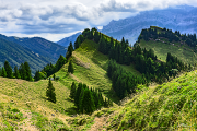 Alpstein18_4498