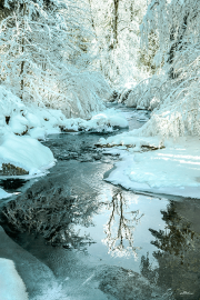 eisbach25_b3501
