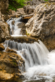 wildbach25_a4037