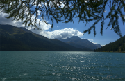 Silvaplanasee16_5363