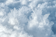 eiskristalle25_a3519