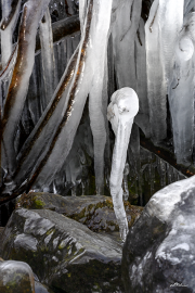 eismaennchen21_a0224