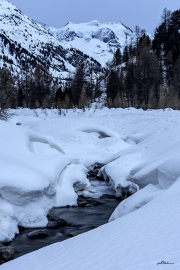 engadin21_a0558