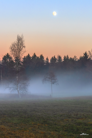 herbstabend20_a9856-1