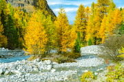 indiansummer24_a2178