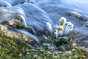 Eis18_2170