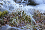 Frost18_2050
