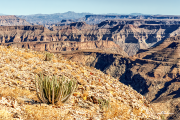 fishrivercanyon19_a2241