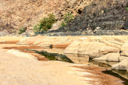 fishrivercanyon19_a2277