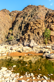 fishrivercanyon19_a2281