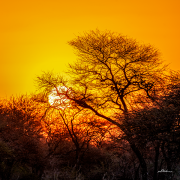sonnenaufgang19_a5646