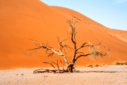 sossusvlei19_a3531