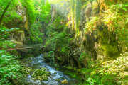 fairytale25_a4589