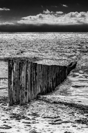 holzweg25_a9227
