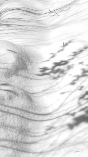 schatten21_a0995