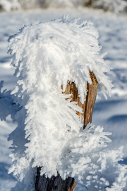 schneeskulptur24_a9622