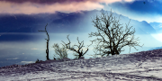 winternebel22_a2035