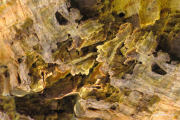 Fant13P1024