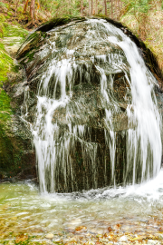 monsterbach21_na9743