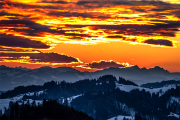 goldhimmel22__a2026