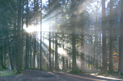 Wald16_5871A