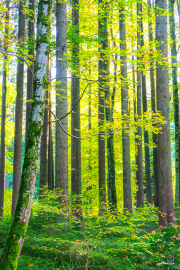 herbst24_a9682
