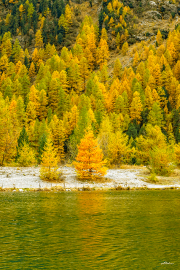 indiansummer24_a1975