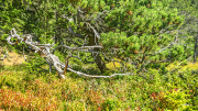 sumpflandschaft21_a1403