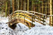 waldweg21_na9788