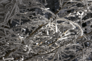 Ast17_6868