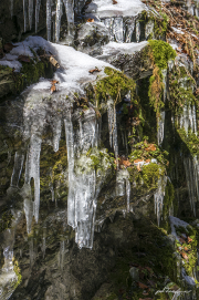 Eiszapfen18_2393